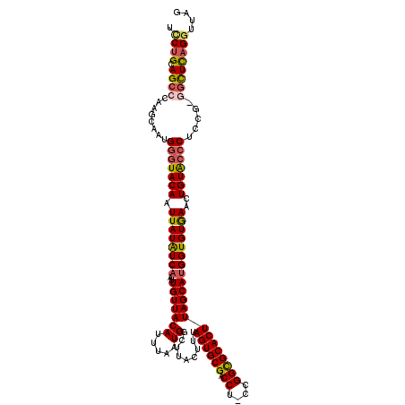 secondary structure