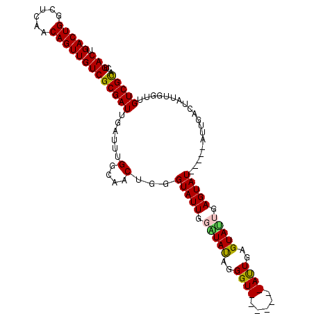 secondary structure