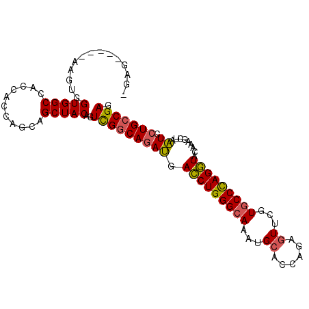 secondary structure