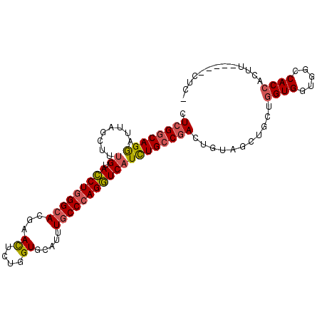 secondary structure
