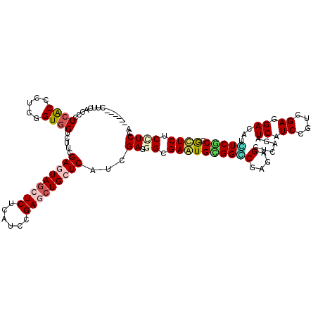 secondary structure