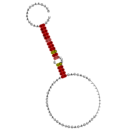 secondary structure