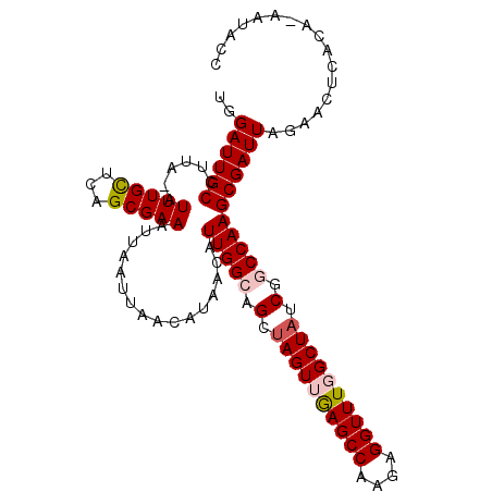 secondary structure