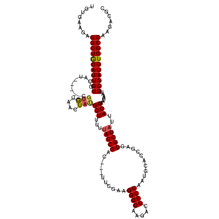 secondary structure