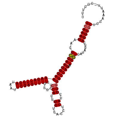 secondary structure