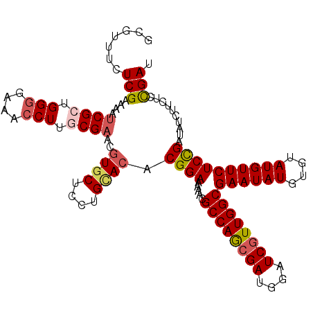 secondary structure