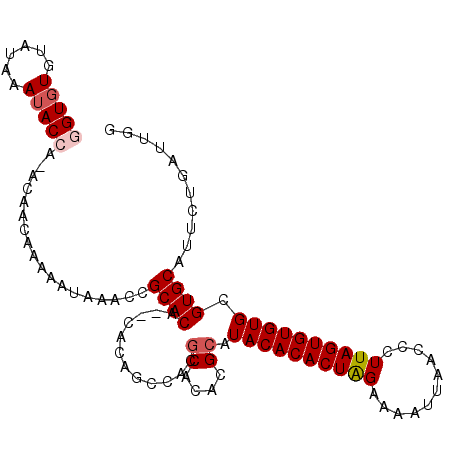 secondary structure
