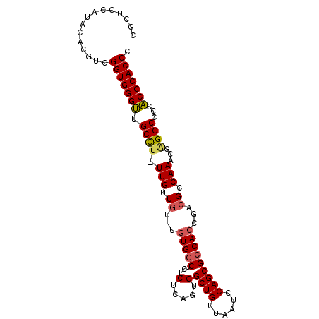 secondary structure