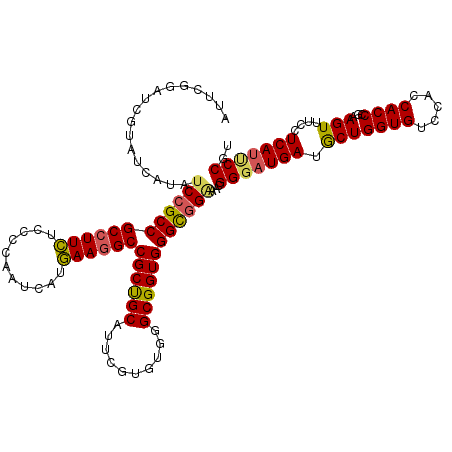 secondary structure