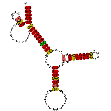secondary structure