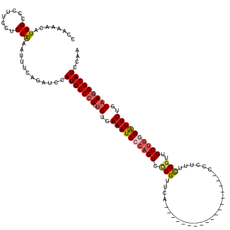 secondary structure