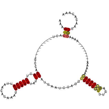secondary structure