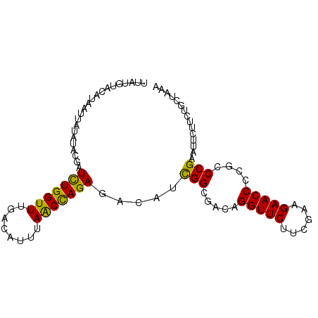 secondary structure
