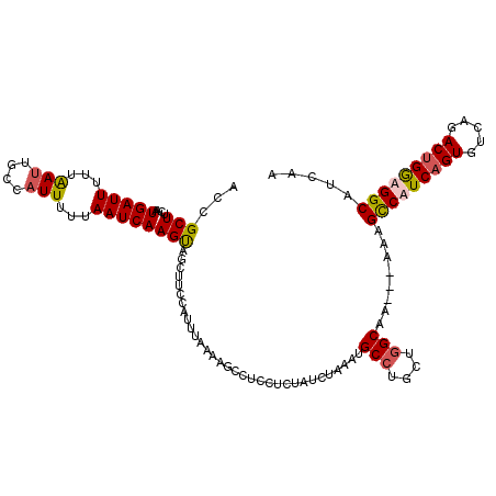 secondary structure