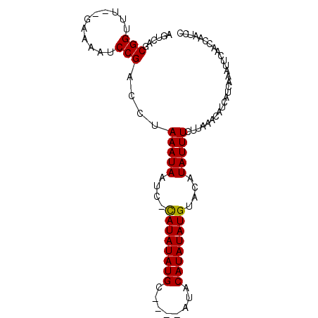 secondary structure