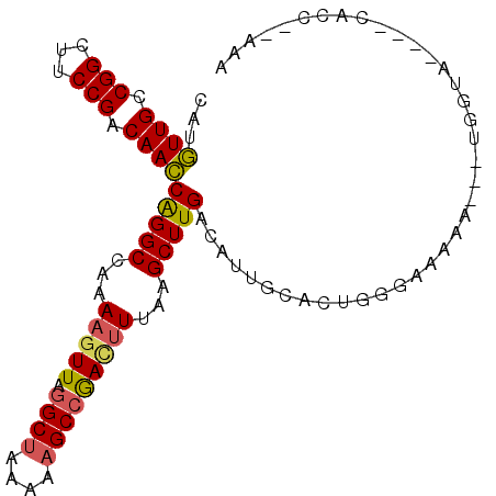 secondary structure