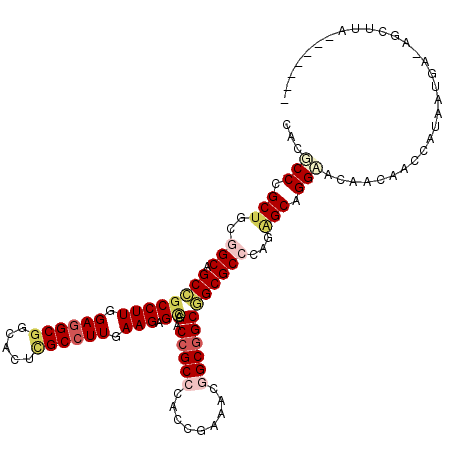 secondary structure