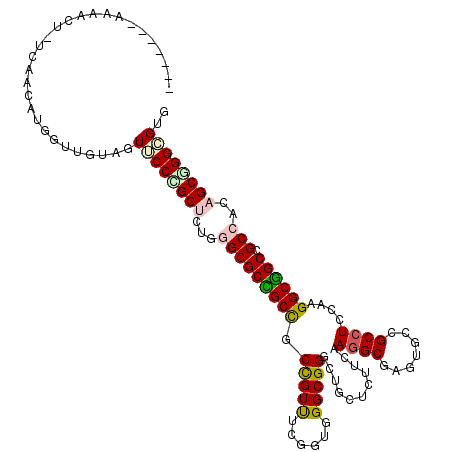 secondary structure