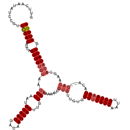 secondary structure