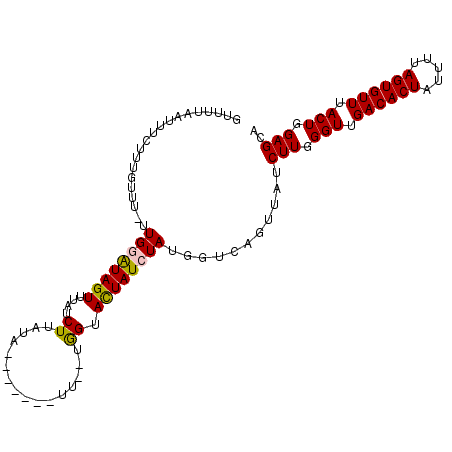 secondary structure