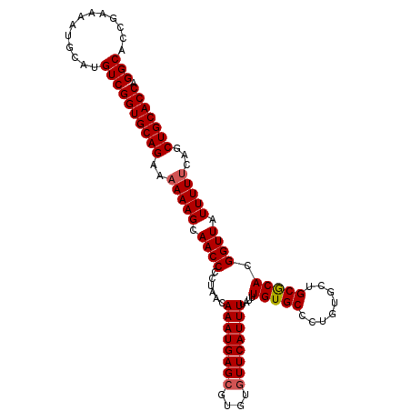 secondary structure