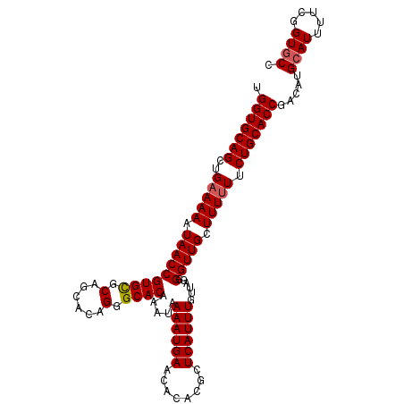 secondary structure