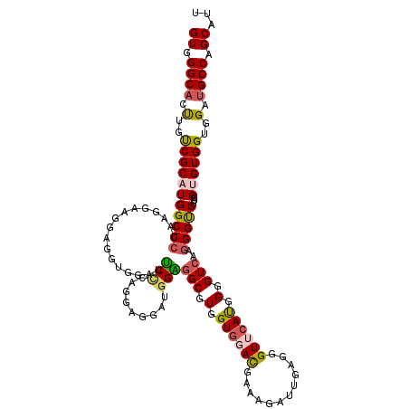secondary structure