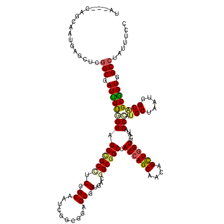 secondary structure