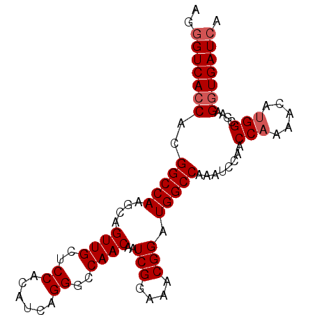 secondary structure