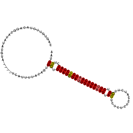 secondary structure