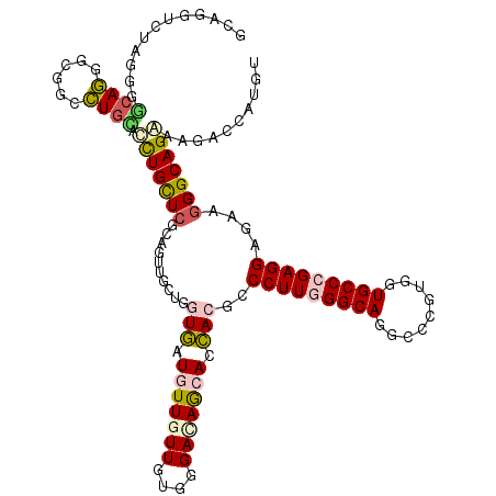 secondary structure