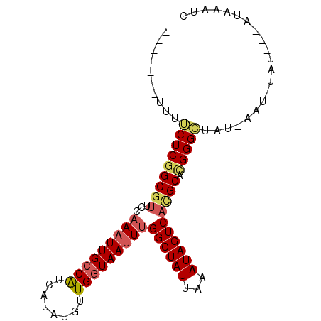 secondary structure