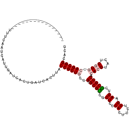 secondary structure