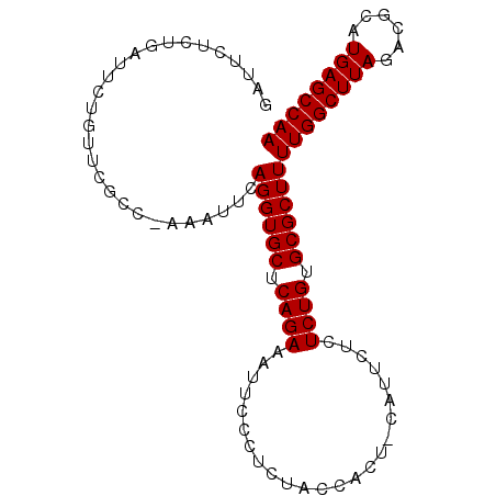 secondary structure