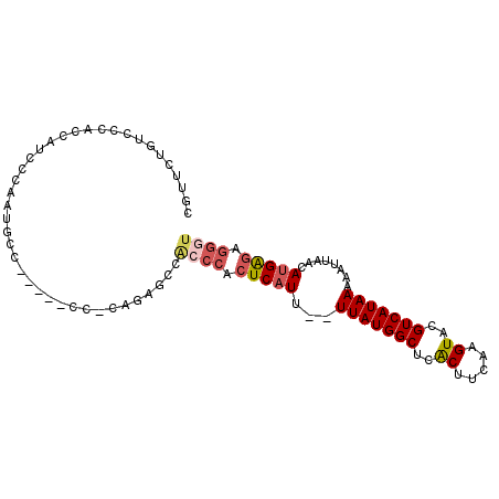 secondary structure
