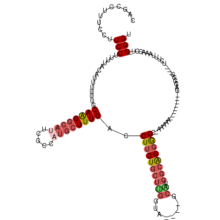 secondary structure