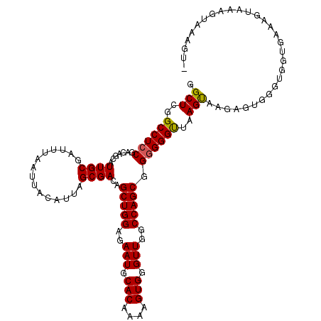 secondary structure