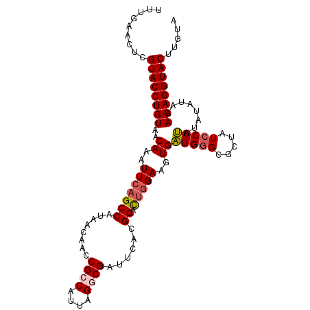 secondary structure