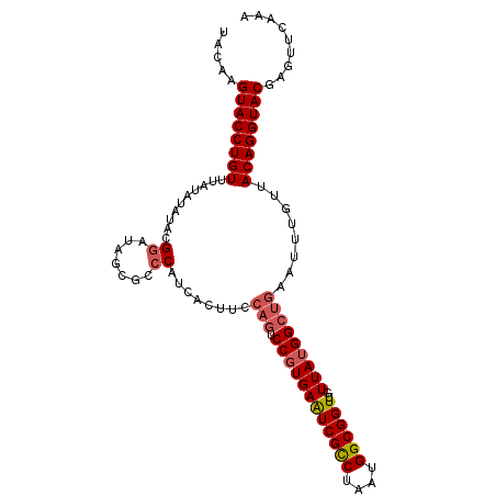 secondary structure