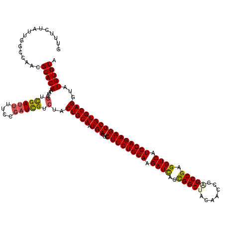 secondary structure
