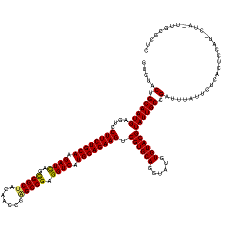 secondary structure
