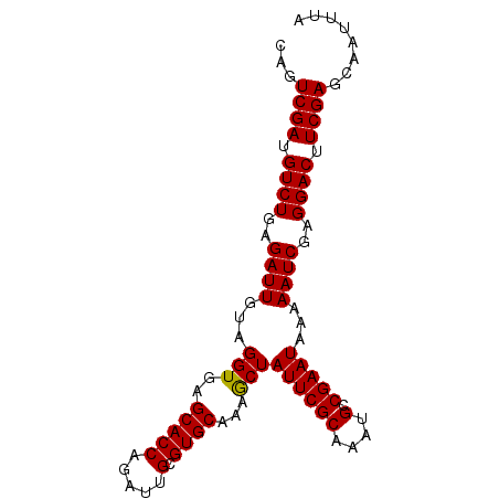 secondary structure