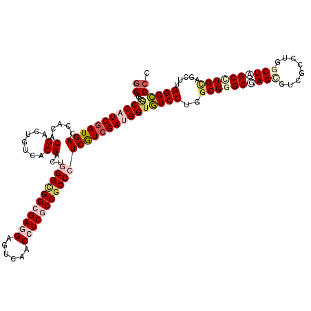 secondary structure