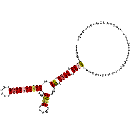 secondary structure