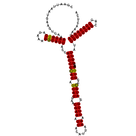 secondary structure