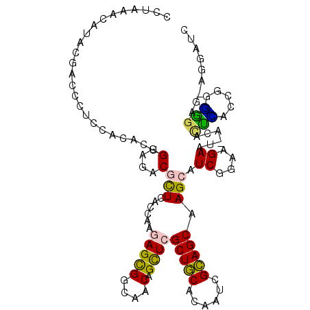secondary structure