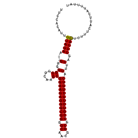 secondary structure