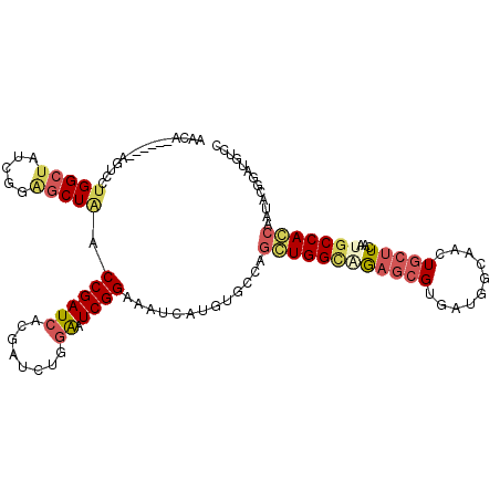 secondary structure