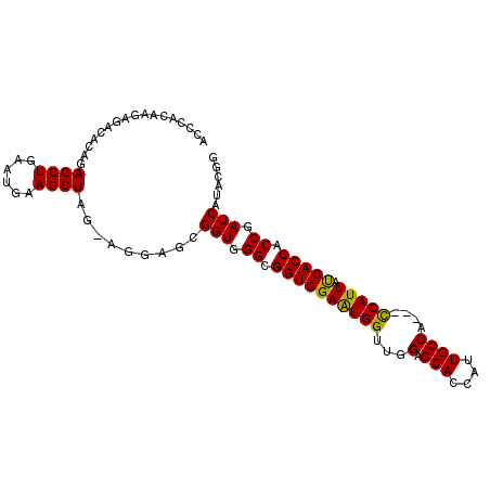 secondary structure