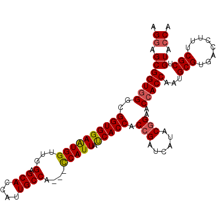 secondary structure
